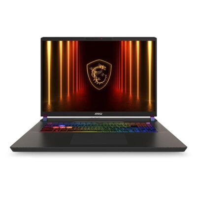 MSI Vector 17HX-094XES U9-275HX 32GB 2TB 5090 DOS