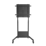 Ewent Carro TV Ajus. Altura  pantalla 60-100"
