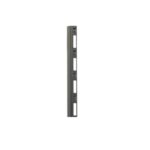 2LAN Pasacable Vertical 187cm  Armarios 42U
