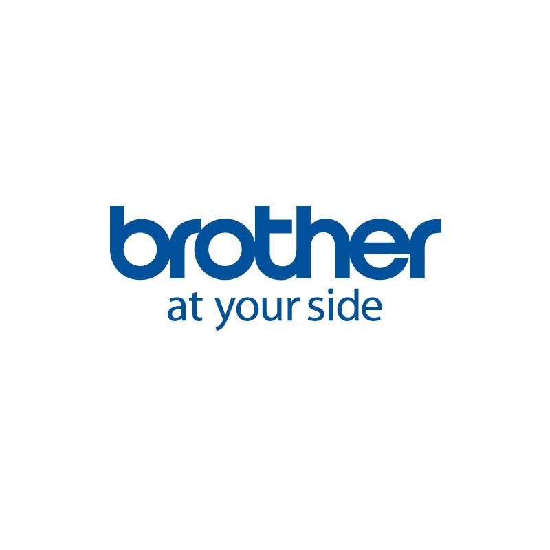CCIPAP0120_800 Brother Papel Caja12Rollos 50x30mm - Imagen 1