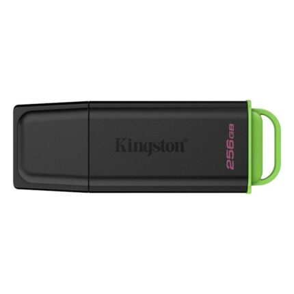 Kingston DataTraveler DTXG2 256GB USB 3.2 Gen1